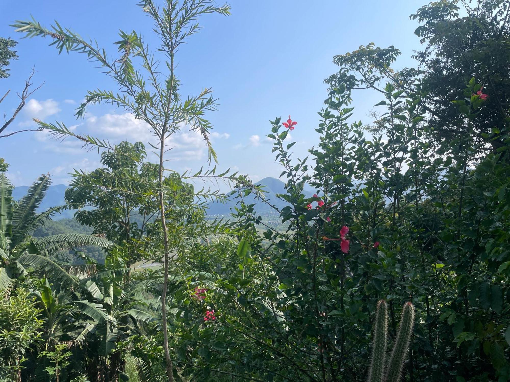 Deorāli Himalaya Serene View Guest House & Farm Stay מראה חיצוני תמונה
