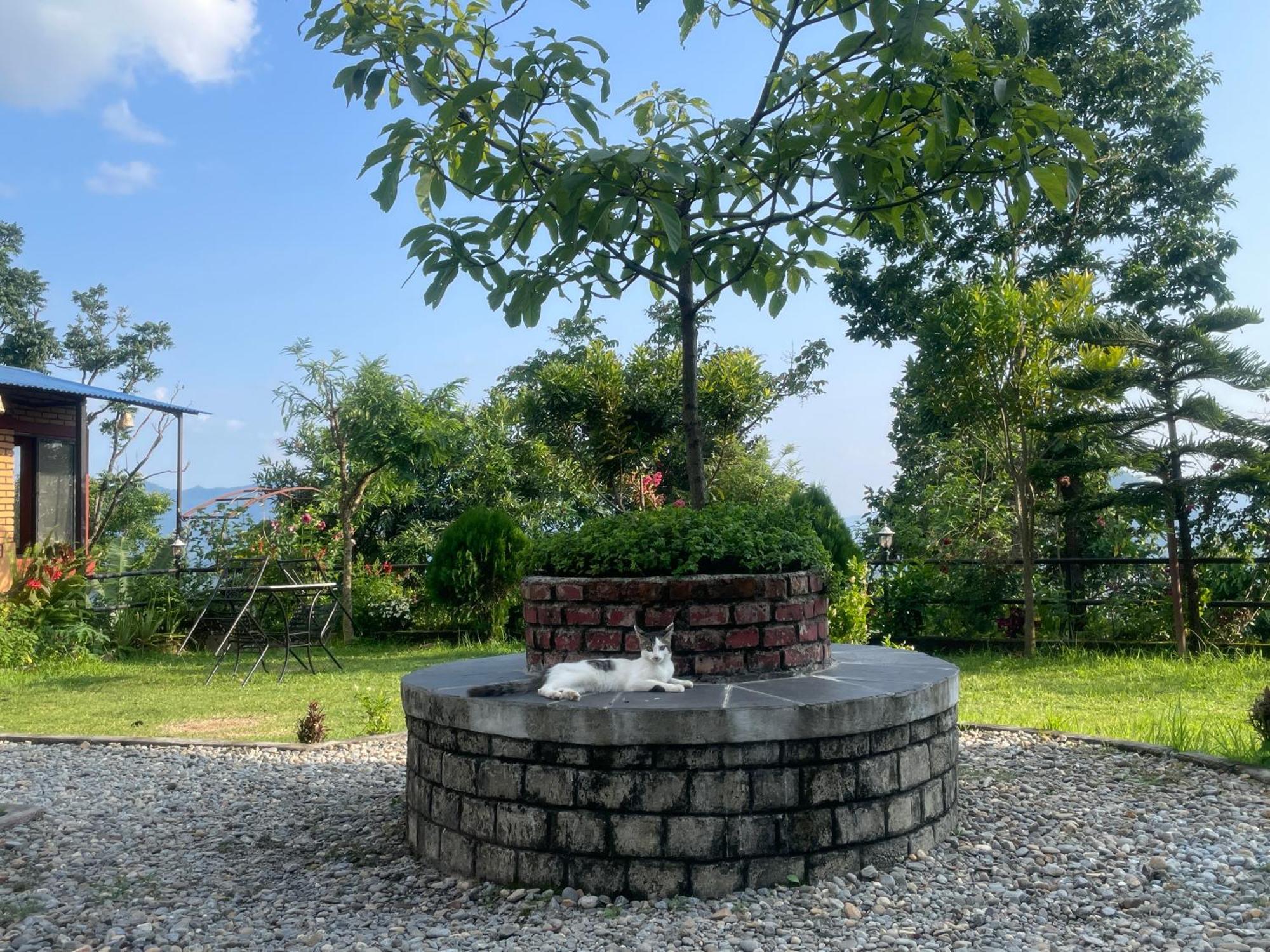 Deorāli Himalaya Serene View Guest House & Farm Stay מראה חיצוני תמונה